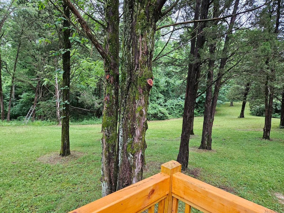 Mulberry Secluded Cabin photo 8