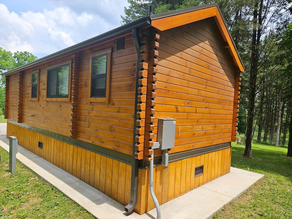 Mulberry Secluded Cabin photo 9