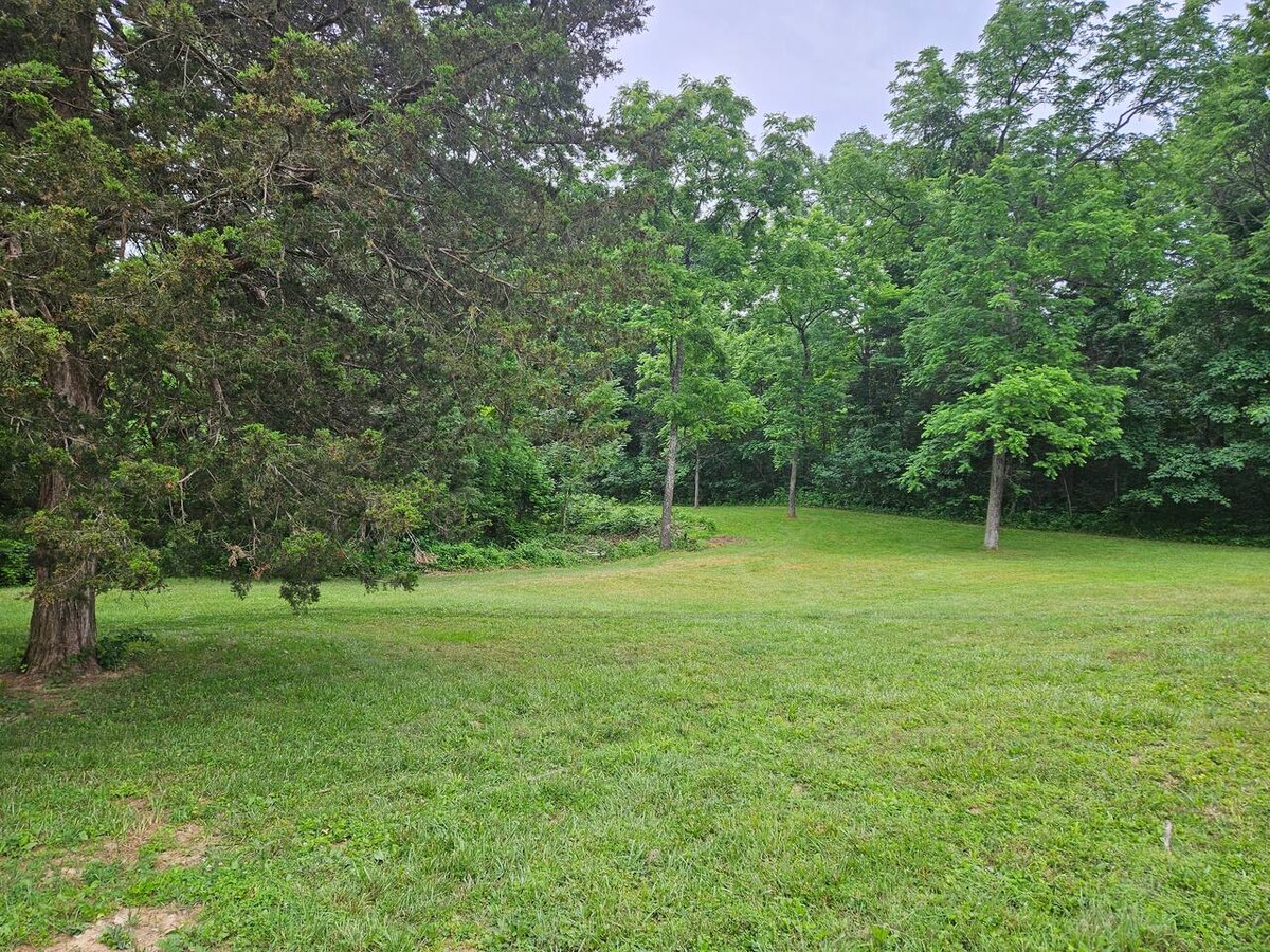 Walnut Woodland Cabin photo 8
